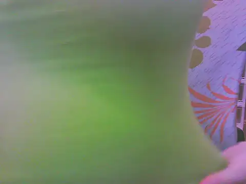 keepmepregnantT