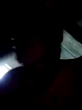 Loomaraj webcam