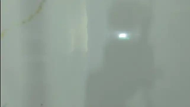 Moonceleste webcam