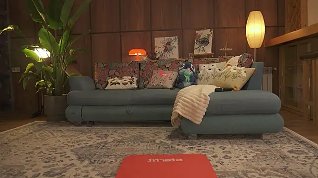 Sofa_01 webcam