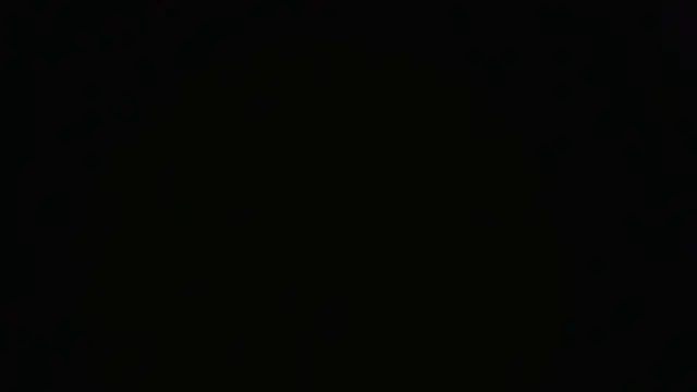 novilho18piroc webcam