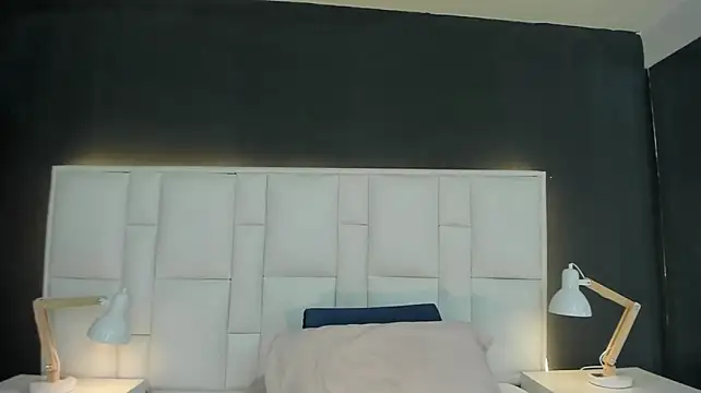 yeral2017 webcam