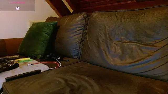 Vrenico-SC webcam