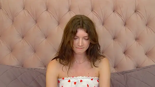 SophiaProve webcam