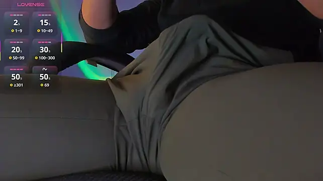 BulgeArt webcam