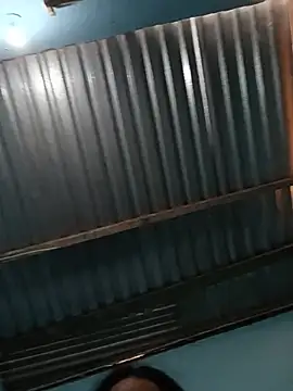 stacy_tz webcam