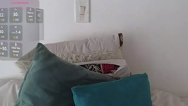 ninaa_fox webcam