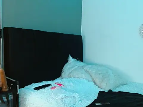 Melodyy_anal777 webcam