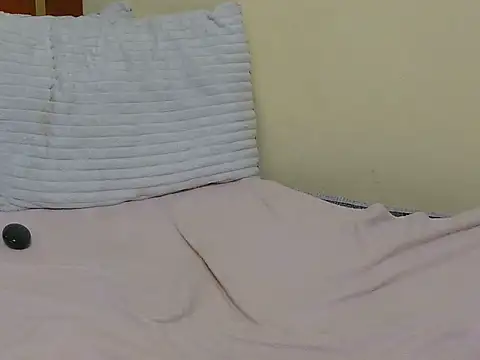 sunny-page webcam