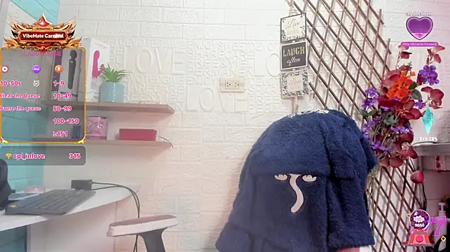 SALOME_KORLAND webcam