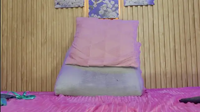Moonceleste webcam