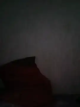 ShaniNsula2026 webcam