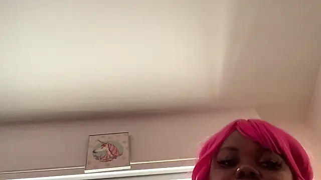 BusyMuffin webcam