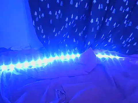 masterbbc_ webcam