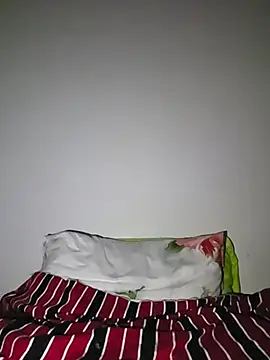 altinya webcam