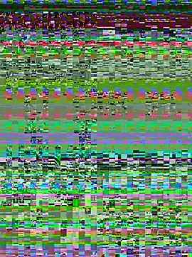 Talaxe_7 webcam