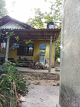 Hiptonos webcam
