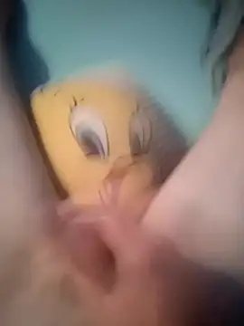 Pavlosss webcam