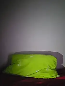 altinya webcam