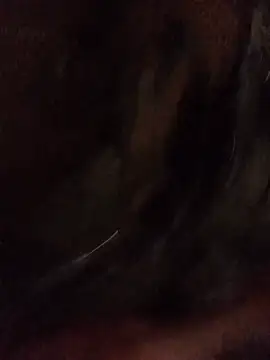 Td3di live cam on StripChat