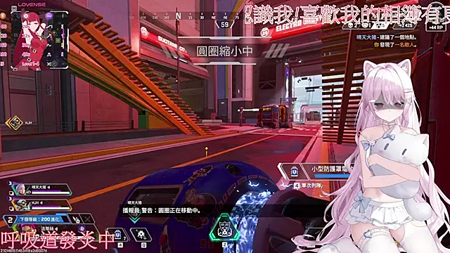 Fatis-Rin-Meow webcam