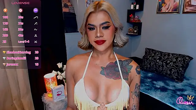 StellaStrong30 webcam