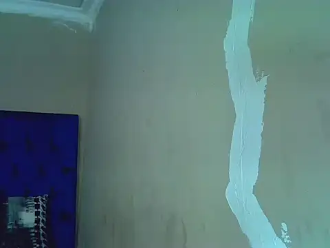 Honey--Bear webcam