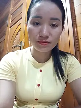 Td3di webcam