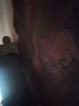 dfhhjcx webcam