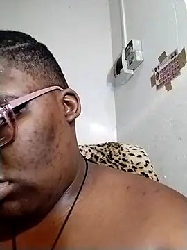 Damm_Bobbies webcam