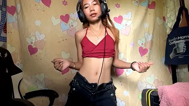 PiaSwida webcam