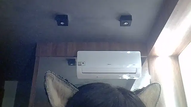 SkinnyKitten live webcam
