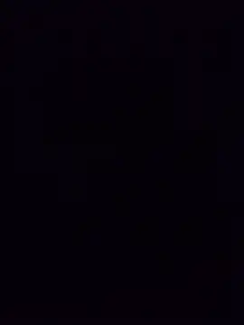 vidmaka
