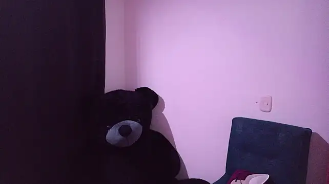switch_fenix webcam