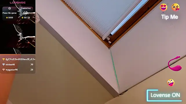 Vita-Crown webcam