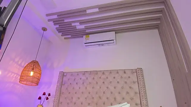 Alexa_Handler webcam