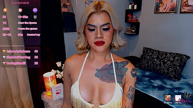 StellaStrong30 webcam