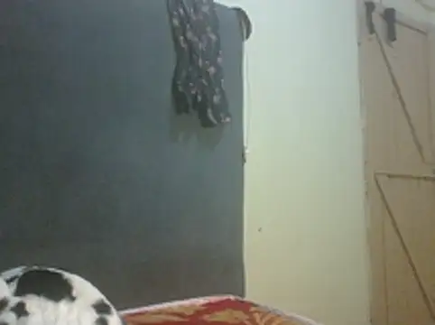 Midnightnova1 webcam