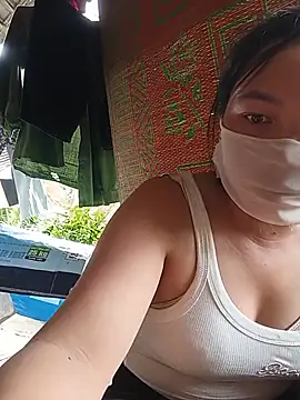 Hiha-nn webcam