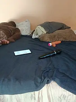 lineras webcam