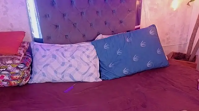pixy_20 webcam