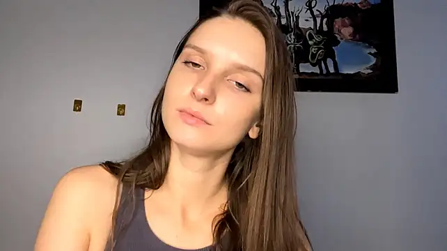 VanMendrin webcam