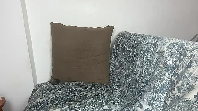 velvetvista webcam