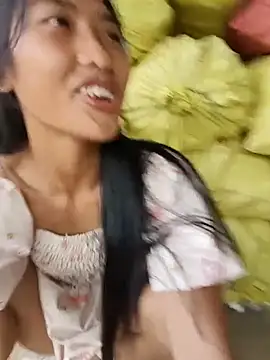 Hoa-tuylip webcam