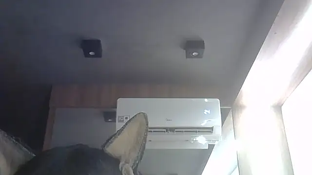 SkinnyKitten webcam