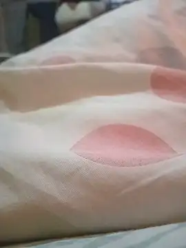 WiseDi live cam on StripChat