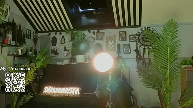 vulagarmanners_ webcam