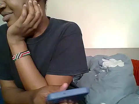 Fries20 webcam