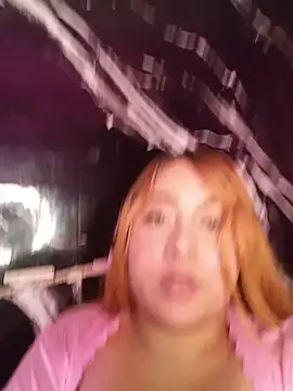 venuscopper webcam