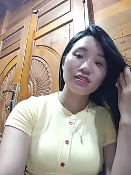 Td3di webcam